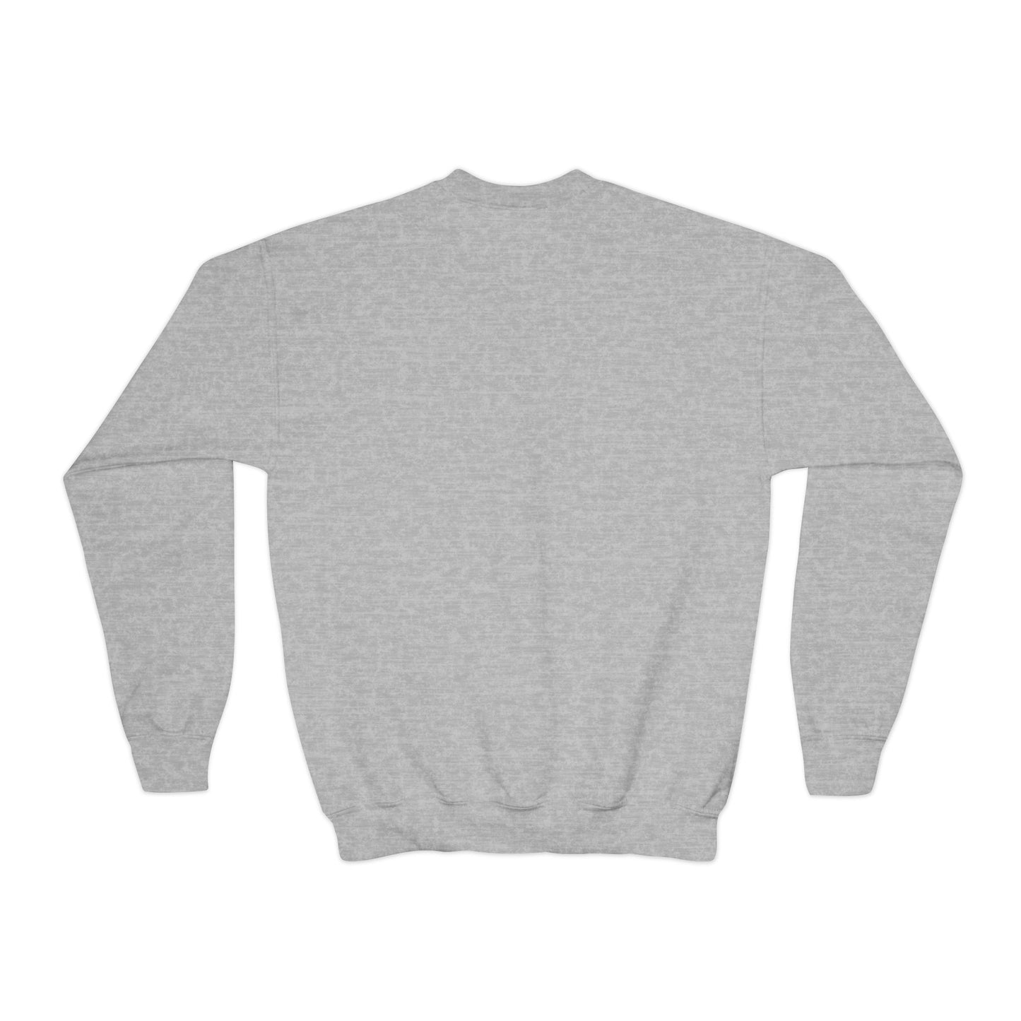 Howard Tigers Pennant Youth Crewneck Sweatshirt