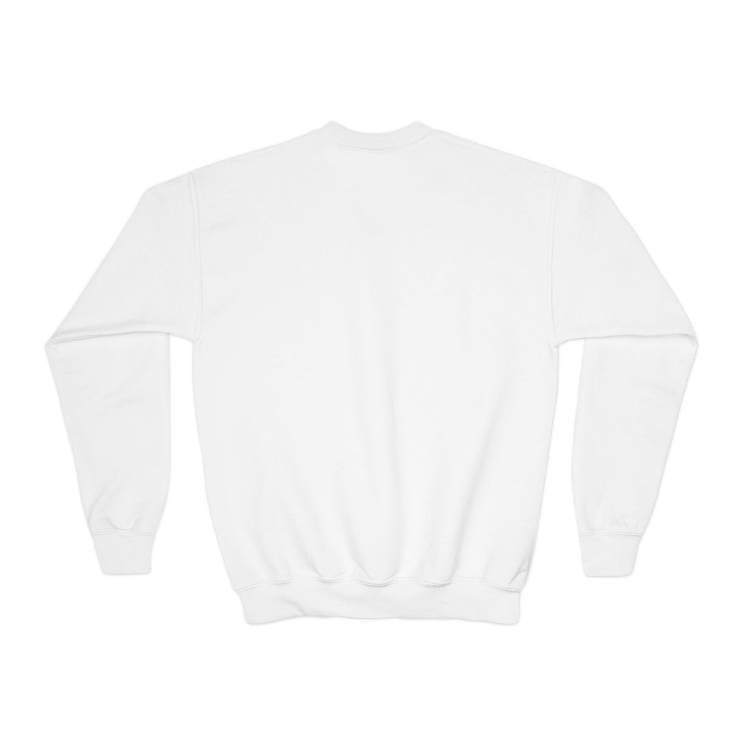 Howard Tigers Pennant Youth Crewneck Sweatshirt